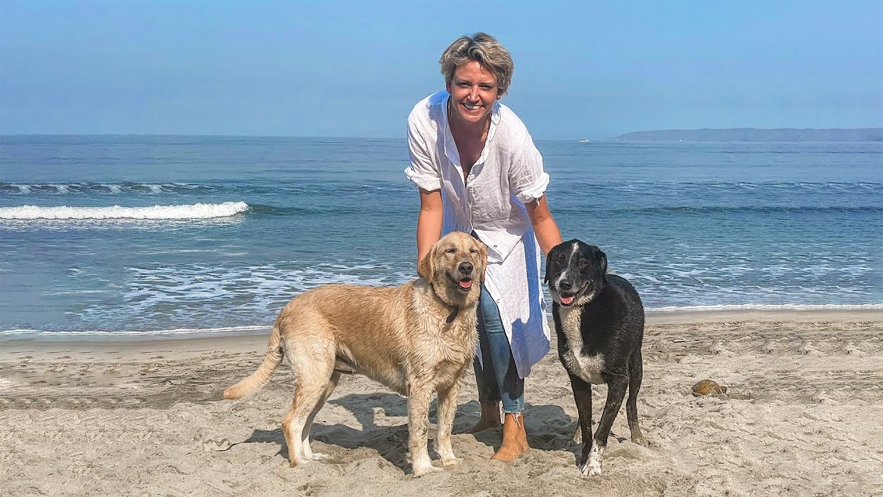 YouTube video player